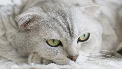 最近吃瓜爆料突然热起来，这条线索越看越让人心里发毛，整个走向突然就不对了