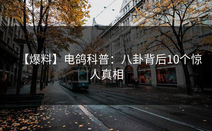 【爆料】电鸽科普：八卦背后10个惊人真相