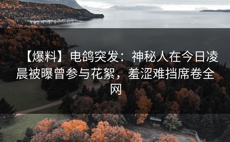 【爆料】电鸽突发：神秘人在今日凌晨被曝曾参与花絮，羞涩难挡席卷全网
