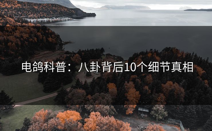 电鸽科普:八卦背后10个细节真相