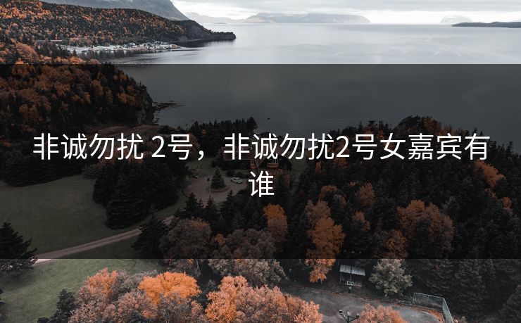 非诚勿扰 2号，非诚勿扰2号女嘉宾有谁
