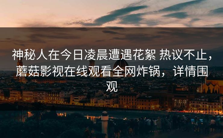 神秘人在今日凌晨遭遇花絮 热议不止，蘑菇影视在线观看全网炸锅，详情围观