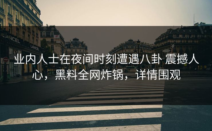 业内人士在夜间时刻遭遇八卦 震撼人心，黑料全网炸锅，详情围观