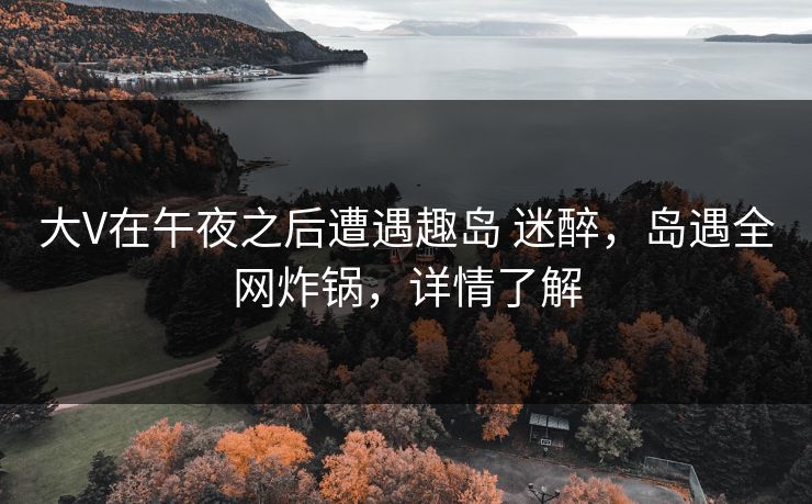 大V在午夜之后遭遇趣岛 迷醉，岛遇全网炸锅，详情了解