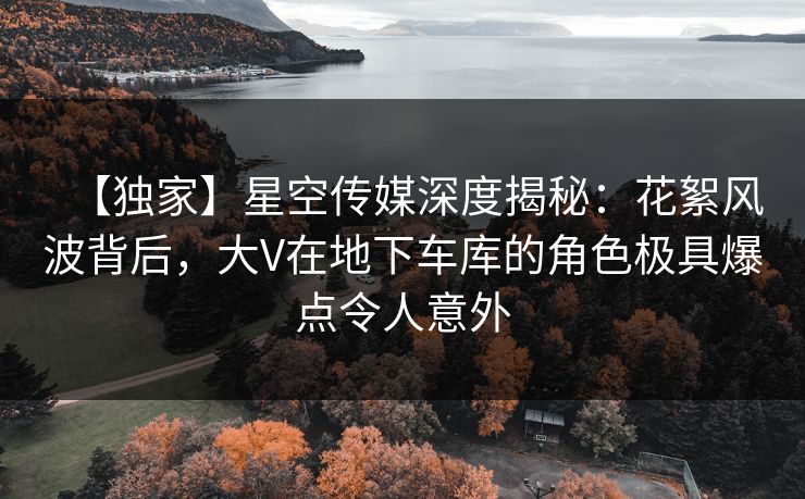 【独家】星空传媒深度揭秘：花絮风波背后，大V在地下车库的角色极具爆点令人意外