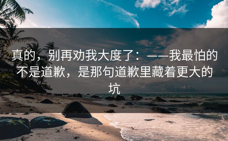 真的，别再劝我大度了：——我最怕的不是道歉，是那句道歉里藏着更大的坑