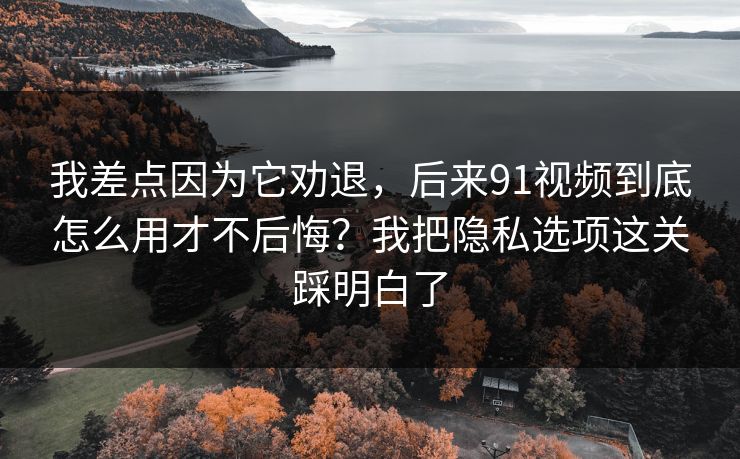 我差点因为它劝退，后来91视频到底怎么用才不后悔？我把隐私选项这关踩明白了