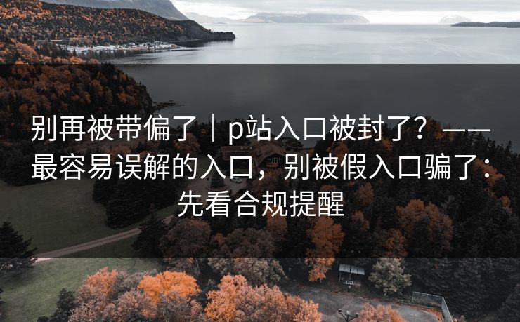 别再被带偏了｜p站入口被封了？——最容易误解的入口，别被假入口骗了：先看合规提醒