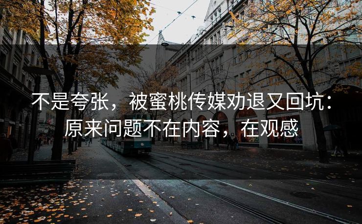 不是夸张，被蜜桃传媒劝退又回坑：原来问题不在内容，在观感