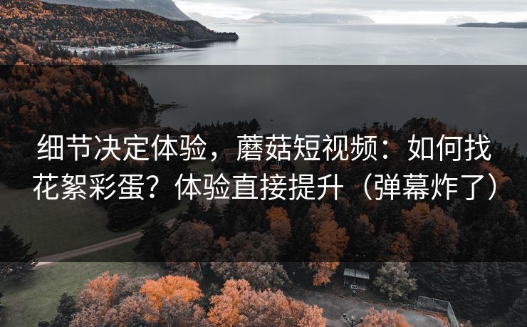 细节决定体验，蘑菇短视频：如何找花絮彩蛋？体验直接提升（弹幕炸了）